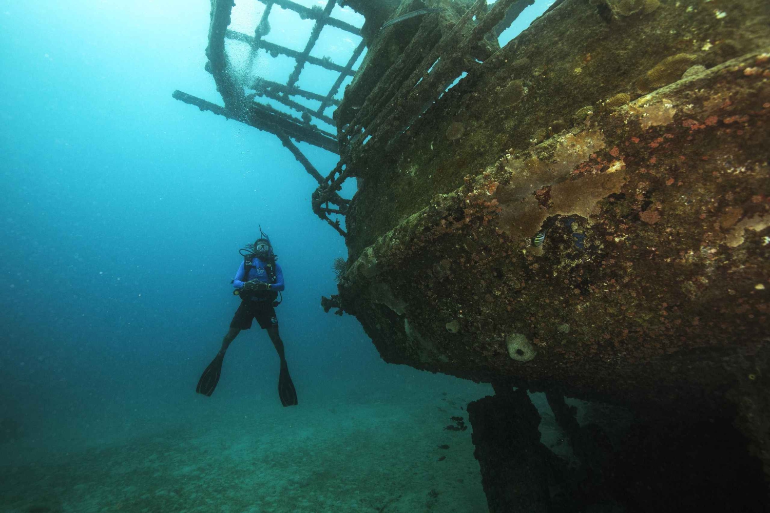 Abu Dhabi: Padi Advanced Open Water Course