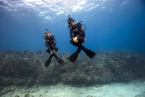 Abu Dhabi Padi Basic Scuba Diver-kurs
