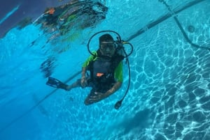 Abu Dhabi: Programa de mergulho PADI Discover Scuba Diving