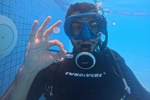 Abu Dhabi: Programa de mergulho PADI Discover Scuba Diving