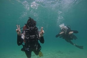Abu Dhabi Padi Open Water Duiker Cursus