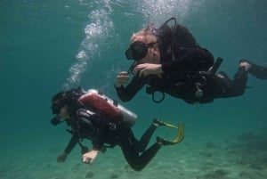Abu Dhabi Padi Open Water Duiker Cursus