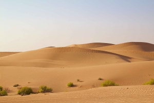 Abu Dhabi: Abu Dhabin lentokentältä.