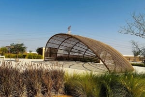 Abu Dhabi: privé tour naar het zoutmeer en de kameelrenbaan