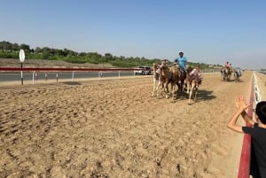 Abu Dhabi: privé tour naar het zoutmeer en de kameelrenbaan