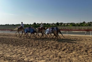 Abu Dhabi: privé tour naar het zoutmeer en de kameelrenbaan