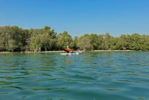 Abu Dhabi: experiência de caiaque nos canais de Raha e mangais