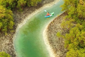 Abu Dhabi: Reem Central Park 2-hour Guided Kayak Tour