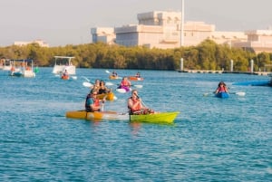 Abu Dhabi: Reem Central Park 2-hour Guided Kayak Tour