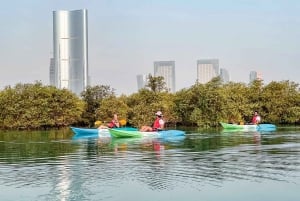 Abu Dhabi: Reem Central Park 2-hour Guided Kayak Tour