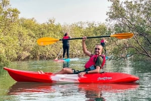 Abu Dhabi: Reem Central Park 2-hour Guided Kayak Tour