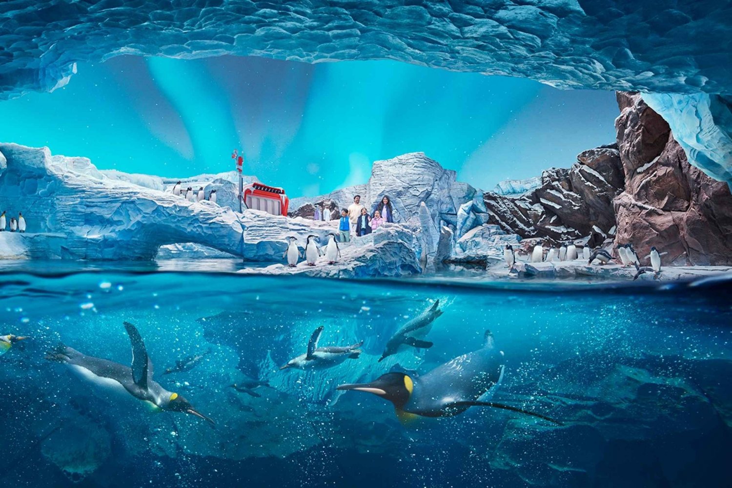 Abu Dhabi: Ticket de entrada a SeaWorld