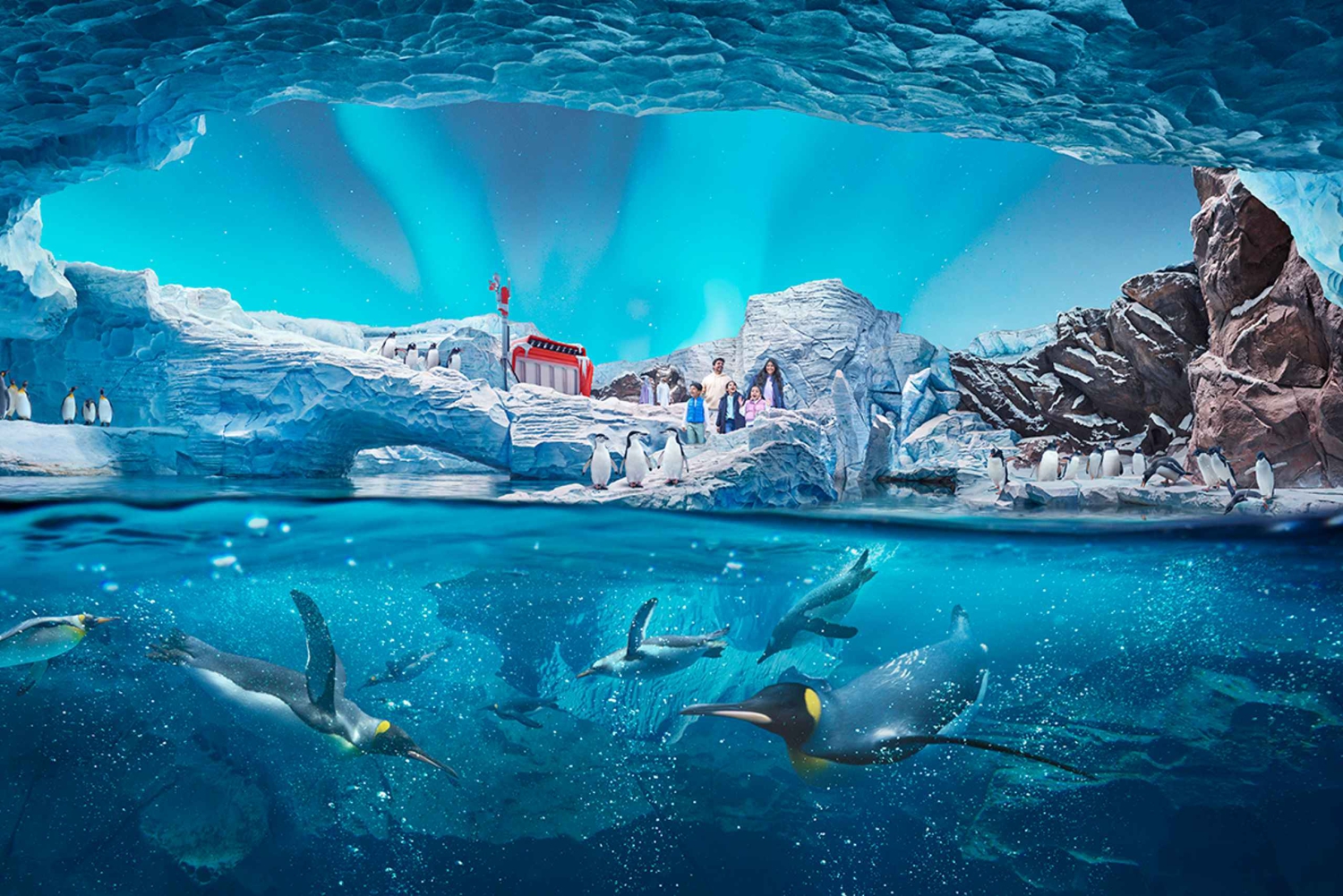 Abu Dhabi: SeaWorld Entry Ticket