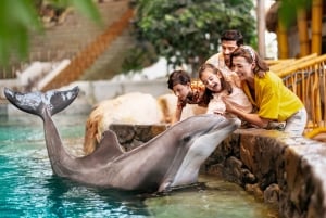 Abu Dhabi: SeaWorld Entry Ticket