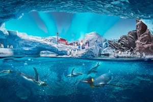 Abu Dhabi : billet d'entrée à SeaWorld