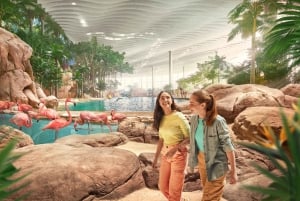 Abu Dhabi : billet d'entrée à SeaWorld avec navette gratuite