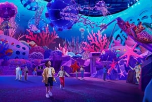 Abu Dhabi : billet d'entrée à SeaWorld avec navette gratuite