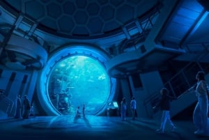 Abu Dhabi : billet d'entrée à SeaWorld avec navette gratuite