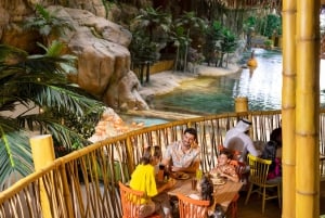 Abu Dhabi : billet d'entrée à SeaWorld avec navette gratuite