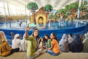 Abu Dhabi: SeaWorld Quick Pass & Premium-paikat