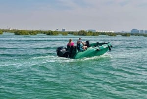 Abu Dhabi: Yas Islandin äänikierros itseohjattavalla veneellä