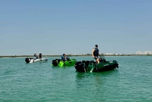 Abu Dhabi: Yas Islandin äänikierros itseohjattavalla veneellä