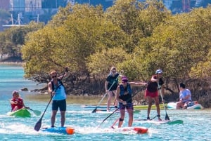 Abu Dhabi: Guidet tur med stand-up paddle boarding