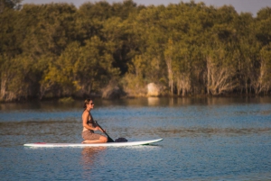 Abu Dhabi: Guidet tur med stand-up paddle boarding