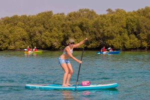 Abu Dhabi: Guidet tur med stand-up paddle boarding