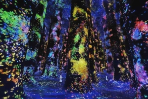 Abu Dhabi: teamLab Fenomena toegangsbewijs
