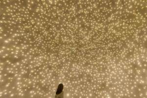 Abu Dhabi: teamLab Fenomena toegangsbewijs