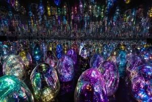 Abu Dhabi: teamLab Fenomena toegangsbewijs