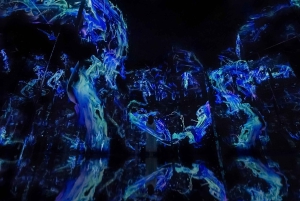 Abu Dhabi: teamLab Fenomena toegangsbewijs