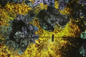 Abu Dhabi: teamLab Fenomena toegangsbewijs