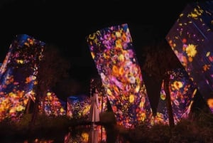 Abu Dhabi: TeamLab Phenomena-oplevelse med transport