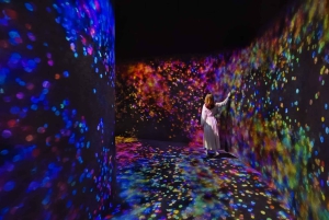 Abu Dhabi: TeamLab Phenomena-oplevelse med transport