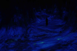 Abu Dhabi: TeamLab Phenomena-oplevelse med transport