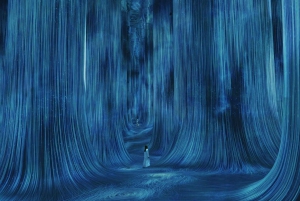 Abu Dhabi: TeamLab Phenomena-oplevelse med transport