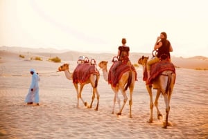 Esperienza di campo tradizionale nel deserto e quad di Abu Dhabi