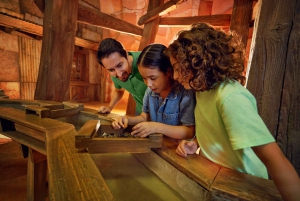 Abu Zabi: bilet wstępu do Warner Bros. World z bezpłatnym transportem