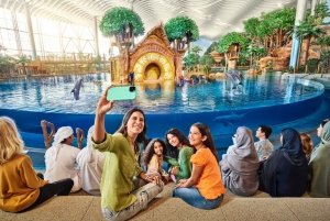 Abu Dhabi: Yas Island Multi-Park toegangsbewijs