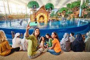 Abu Dhabi: biglietti per l'ingresso a più parchi dell'Isola di Yas