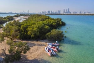 Abu Dhabi: Excursión autoguiada en lancha rápida por la isla de Yas