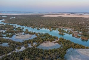 Abu Dhabi: Excursión autoguiada en lancha rápida por la isla de Yas