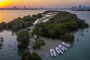 Abu Dhabi: Yas Island Self-Driving Speedboat Tour met gids