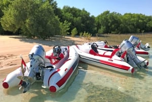 Abu Dhabi: Yas Island Self-Driving Speedboat Tour met gids