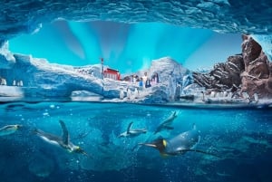 Abu Dhabi: Yas Island Multi-Park Entry Tickets