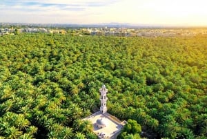 Visita a la ciudad de Al Ain con almuerzo