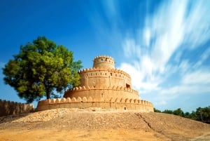 Stadstur i Al Ain med lunch