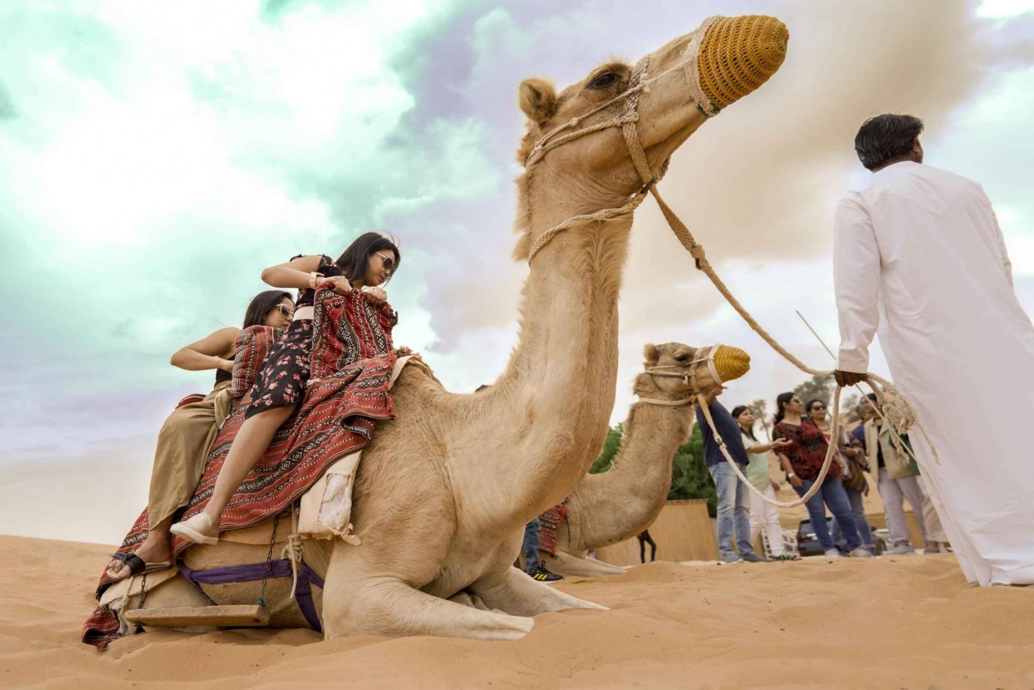 Discover Abu Dhabi through Camel Trekking Adventure